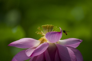 _DSC6869_???