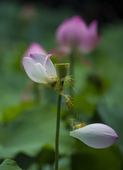 _DSC6106_???