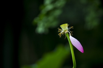 _DSC5696_???