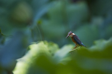 _DSC8326_???