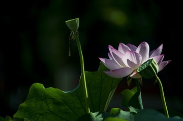 _DSC8254_1_???