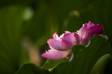 _DSC9105_???