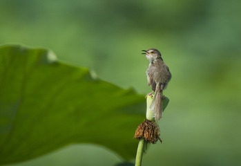 DSC_3639_???