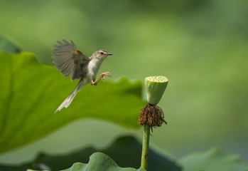 _DSC3816_3_???