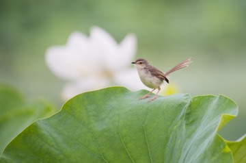 _DSC9672_2_???
