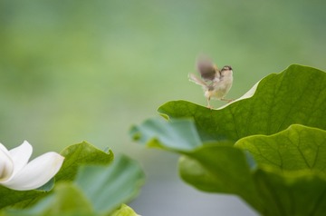 _DSC0059_1_???