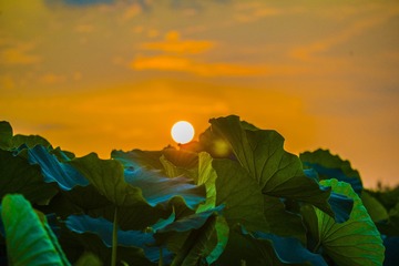 _DSC5020_???_???