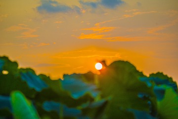 _DSC5018_???_???