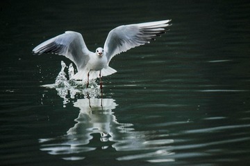 _DSC8338_???_???