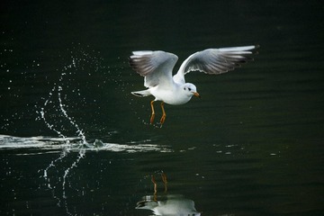 _DSC8361_???_???