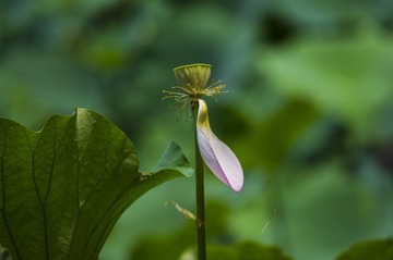 _DSC0187_???