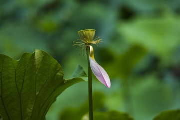 _DSC0188_???