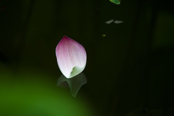 _DSC0158_1_???