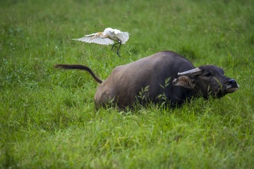 _DSC1304_2_???
