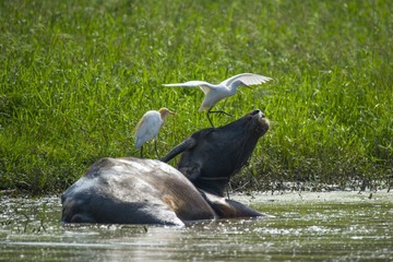 _DSC0982_???