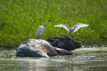 _DSC0973_???