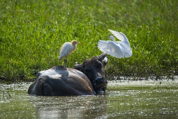_DSC0934_???