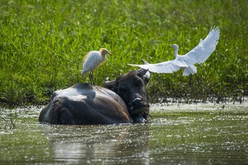 _DSC0933_???