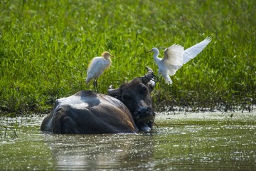 _DSC0935_???