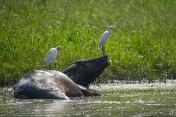 _DSC0986_???