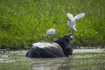 _DSC0939_2_???