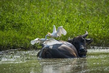 _DSC0922_1_???
