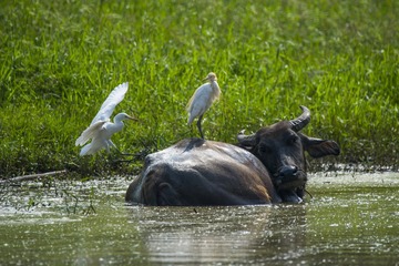 _DSC0917_???
