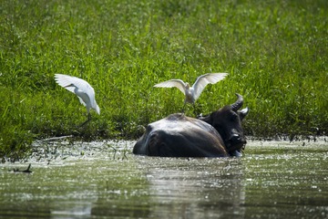 _DSC0878_???