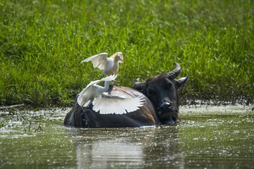 _DSC0925_???