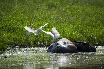 _DSC0845_???