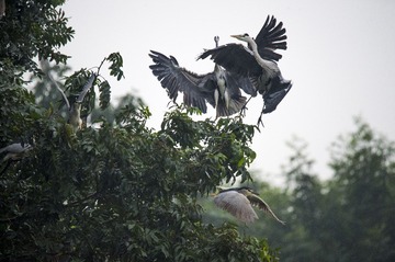 DSC_2641_??