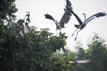 DSC_2643_??