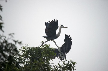 DSC_2720_??