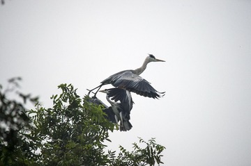 DSC_2721_??(1)
