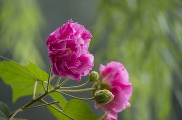 DSC_1691_???