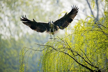 _DSC3204__看图王