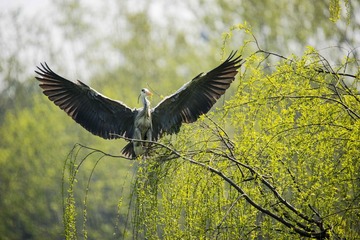 _DSC3265__看图王
