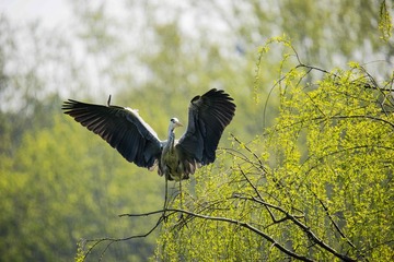 _DSC3267__看图王