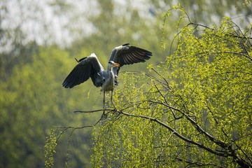 _DSC3268_看图王__看图王