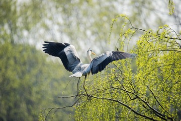 _DSC3270__看图王