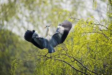 _DSC3293__看图王