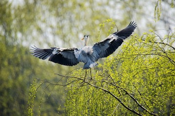 _DSC3308__看图王