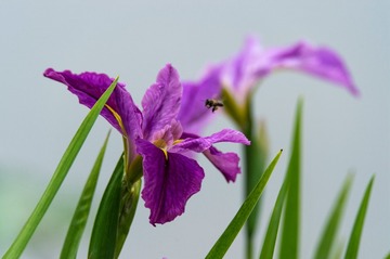 _DSC2804_1__