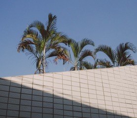 736659C2-5523-4302-A20D-A905A7FE4EAF/L0/001