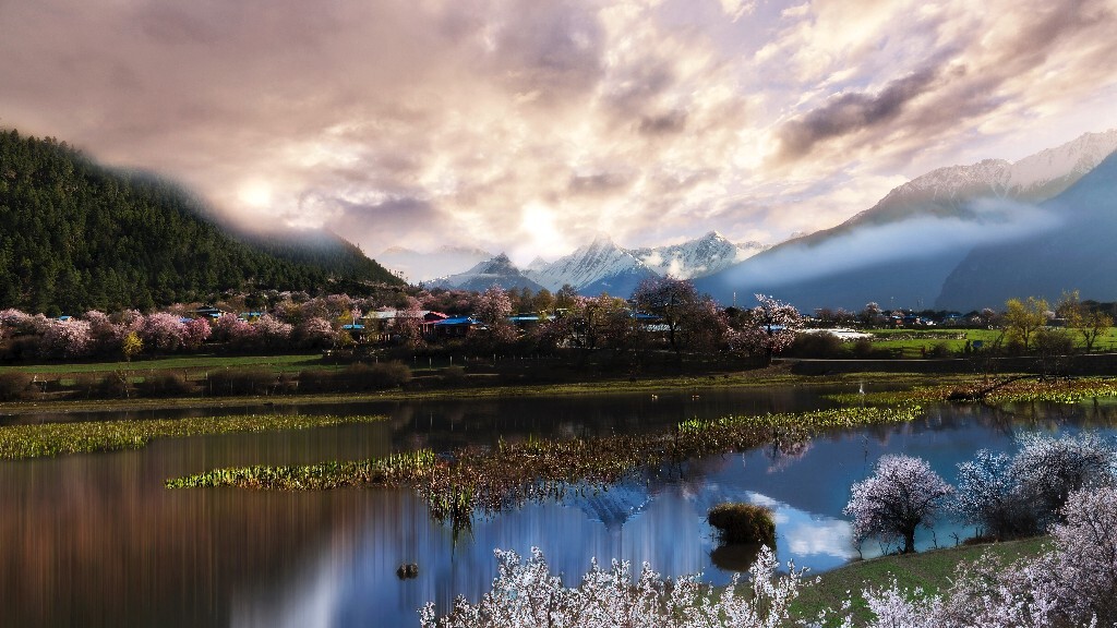 我愿三生三世，伴你十里桃花。