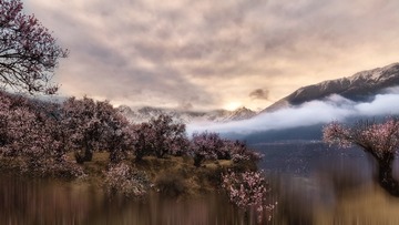 桃花幻境