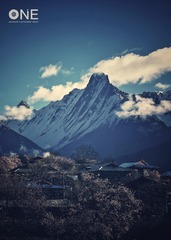雪山下的静谧桃花村