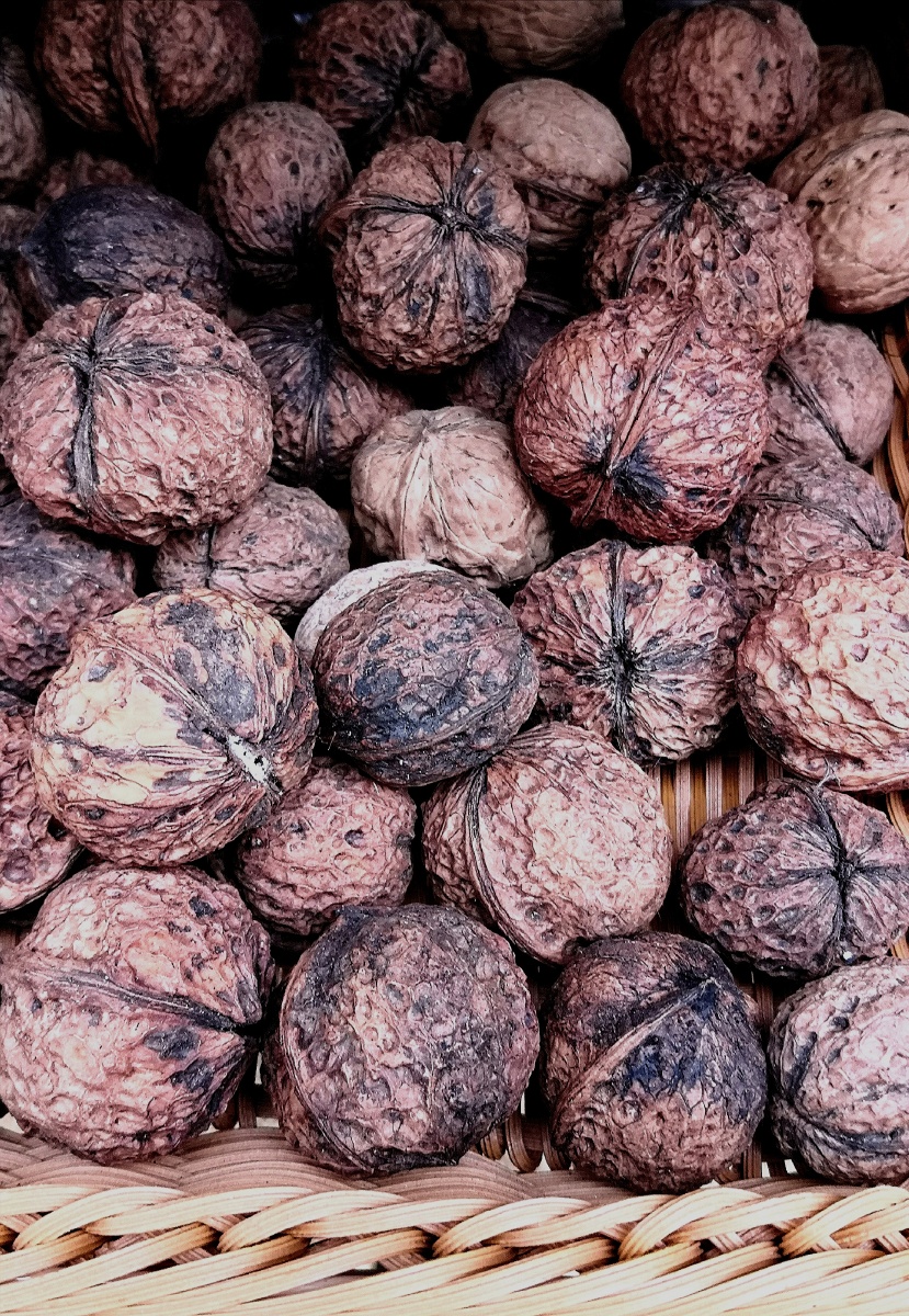 紫皮核桃 - 秋知落叶 - 图虫