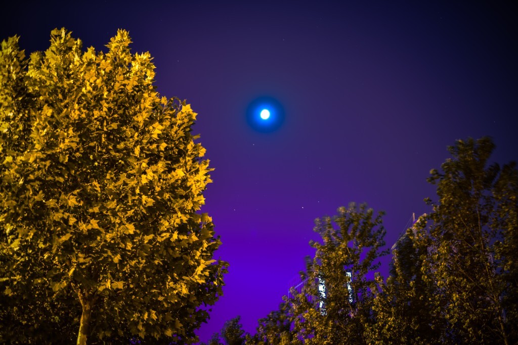 夜空中最亮的星……是月亮