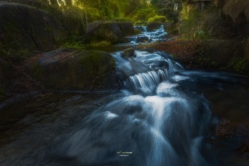 绿野仙踪.杭州花圃